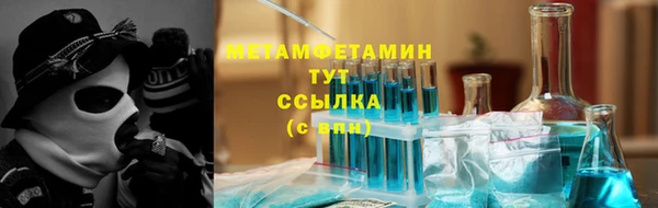 прущие грибы Няндома